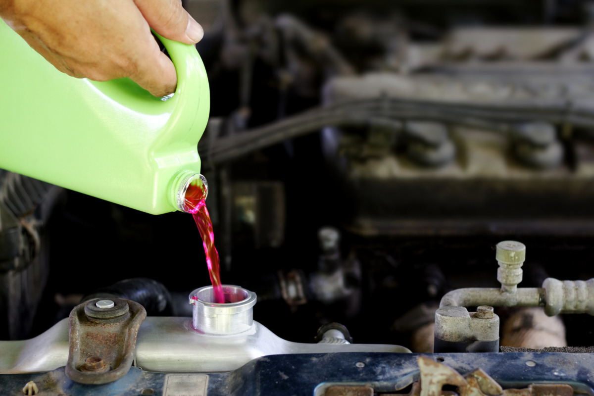 service car,Mechanic pouring coolant into new radiator