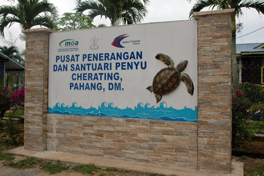 Cherating Hotel Booking