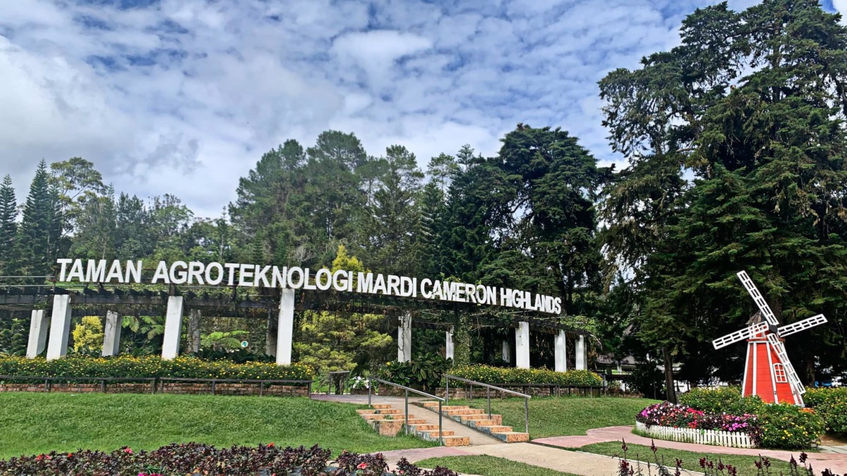 Facebook Taman Agroteknologi MARDI Cameron Highlands 1