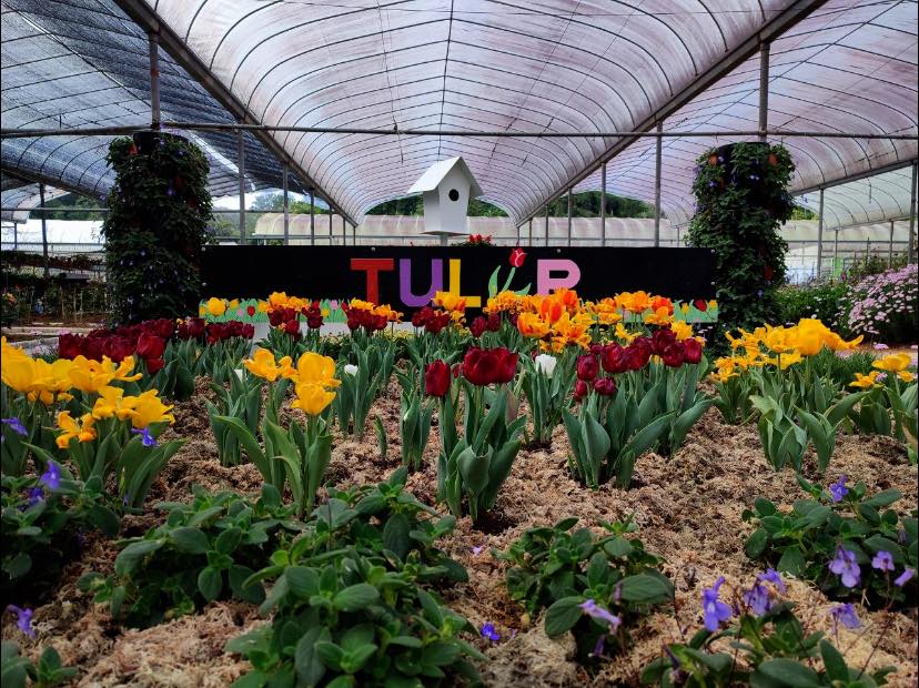 Facebook Taman Agroteknologi MARDI Cameron Highlands