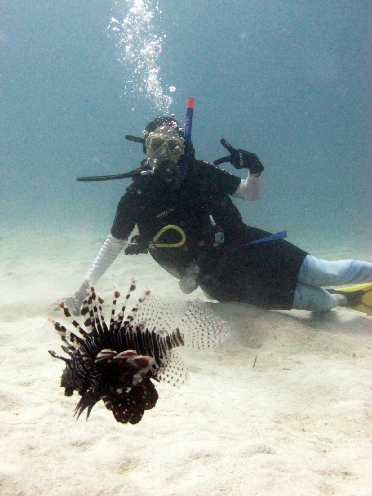 Kapalai_0672 diving