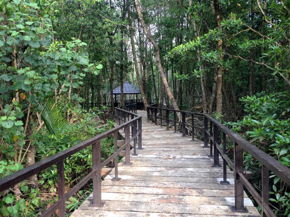 Kuantan River Cruise 1
