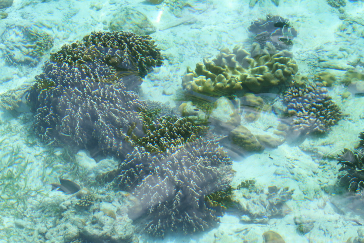 Mabul IMG_8945