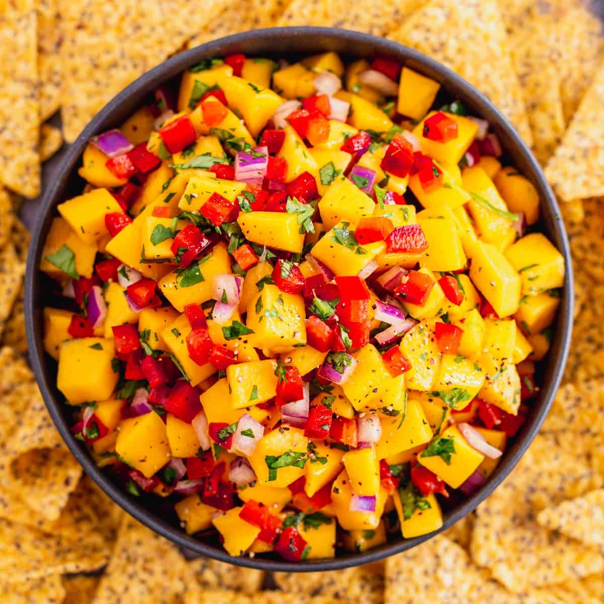 The Yummy Bowl