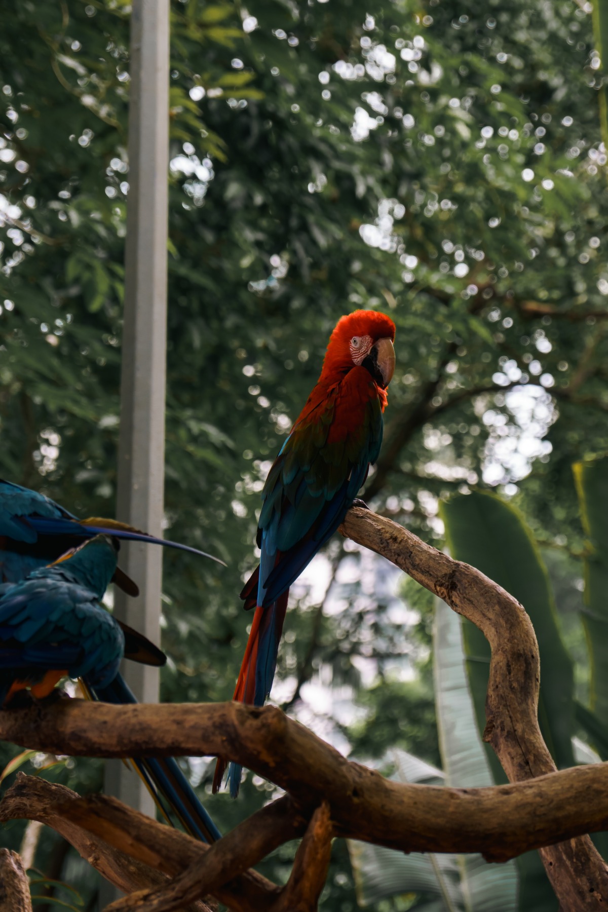aliff-haikal-Ua7GG_lUq7c-unsplash