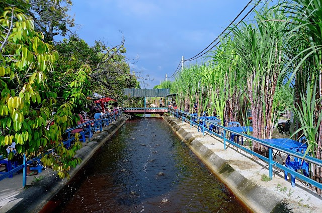 anajingga