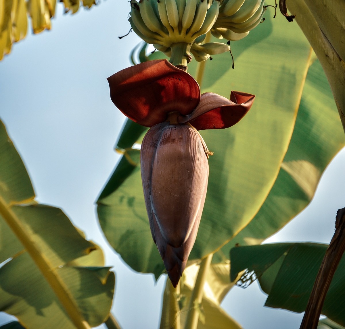 madib-zikri–tUZW1fE25o-unsplash