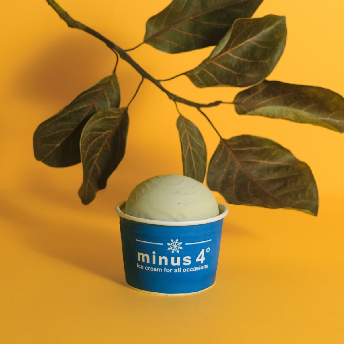 minus 4