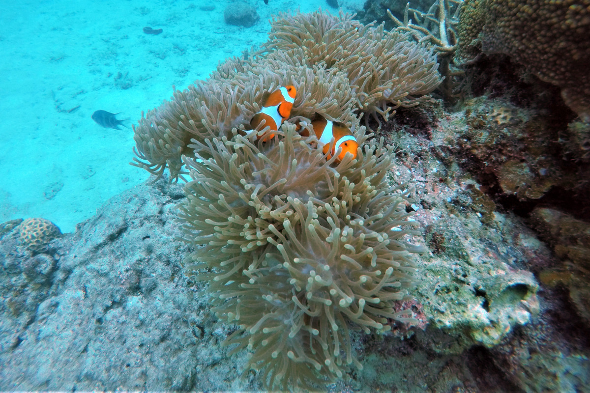 DCIM100GOPROGOPR0156.JPG