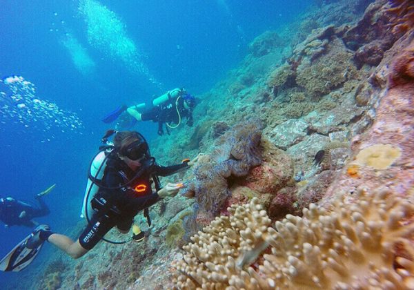 pulau-tenggol-diving-600×420
