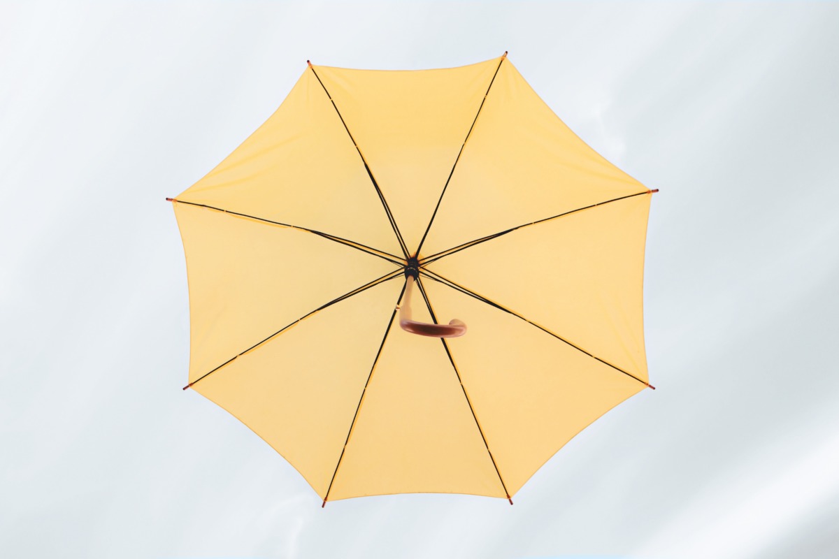 umbrella