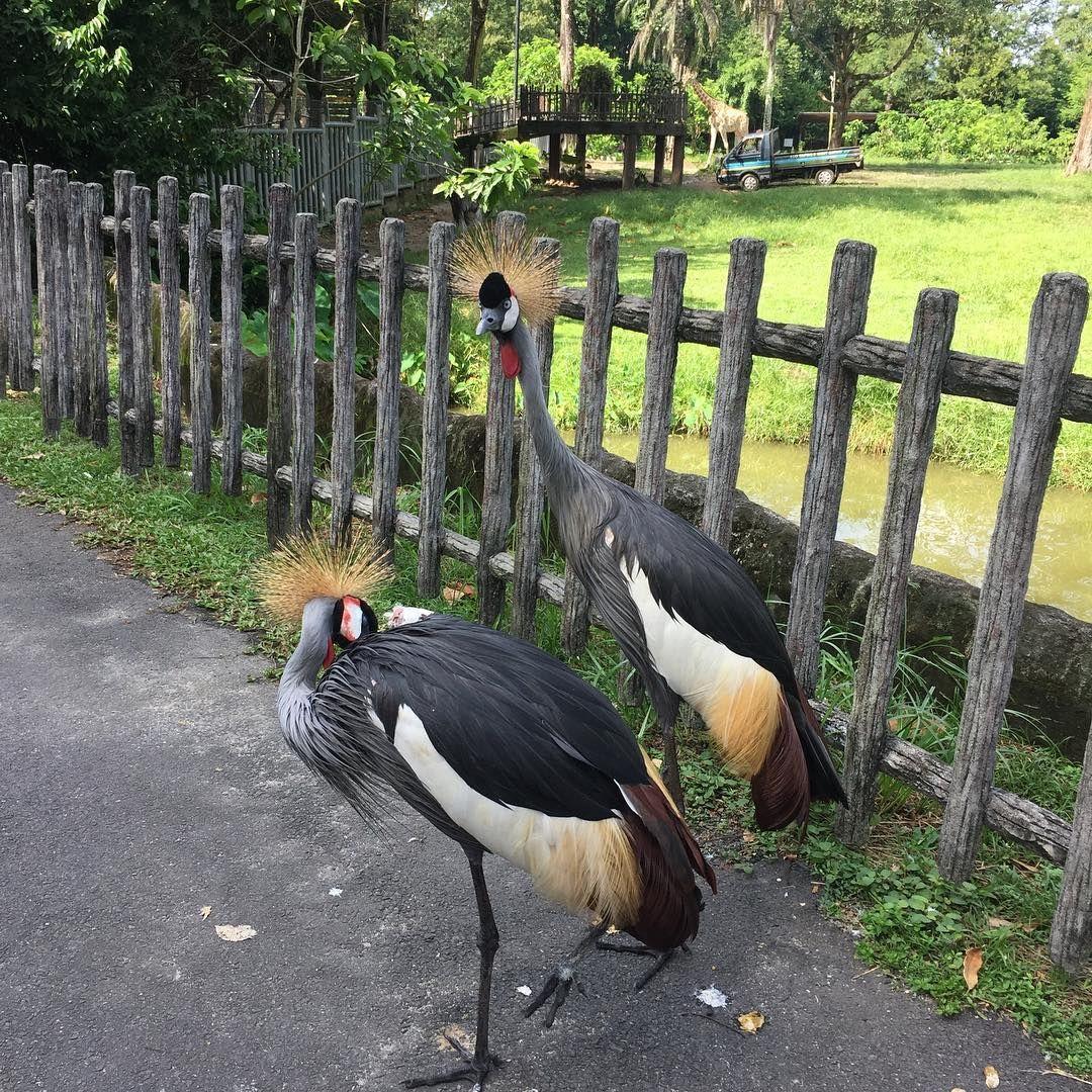 zoo